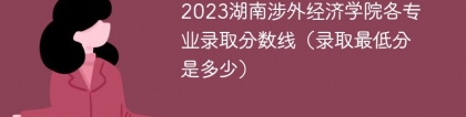 2023湖南涉外经济学院各专业录取分数线（录取最低分是多少）